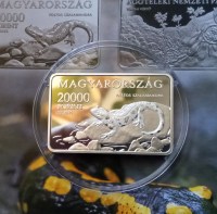 IMG_20250429_132504_1