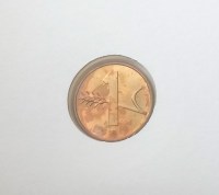 IMG_20250913_140806_1_200x200.jpg